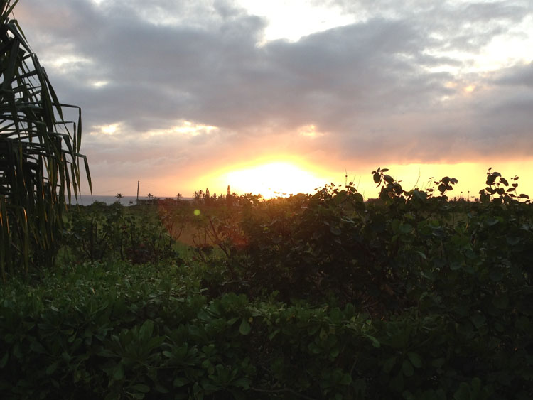 The Shops at Kukui'ula sunset