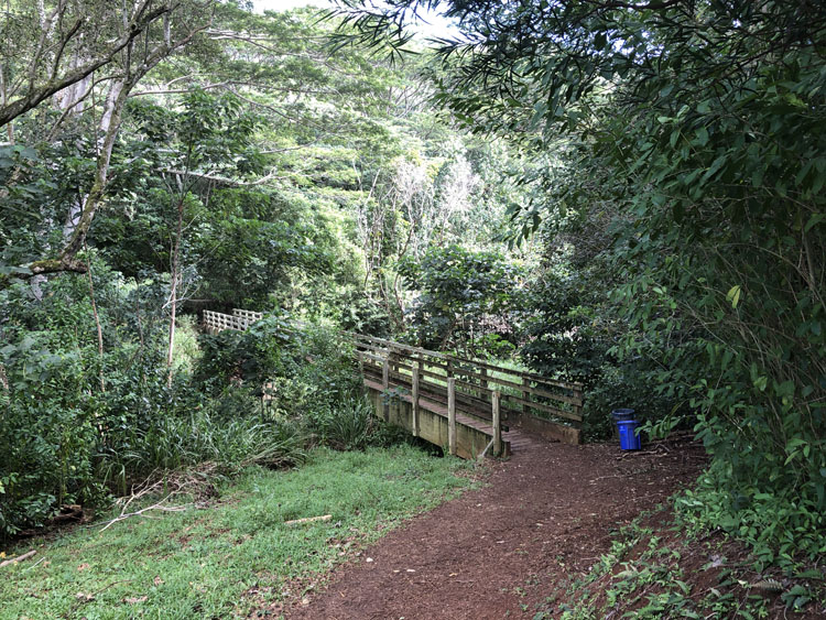 The vista from the Nounou Trail bridge