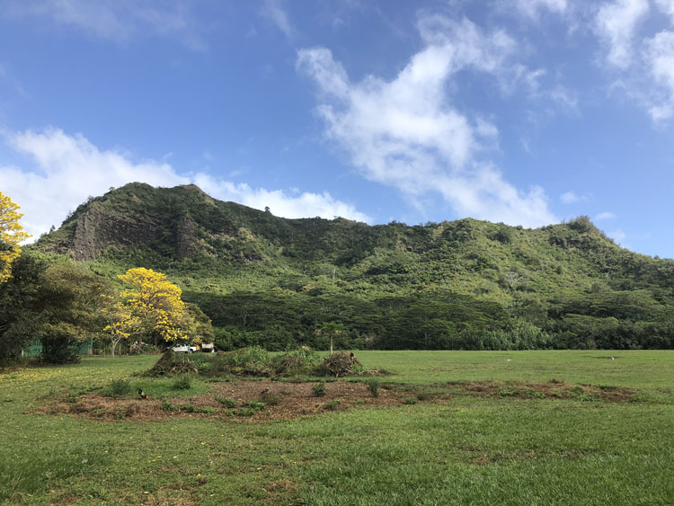 The vista from the Nounou Trailhead