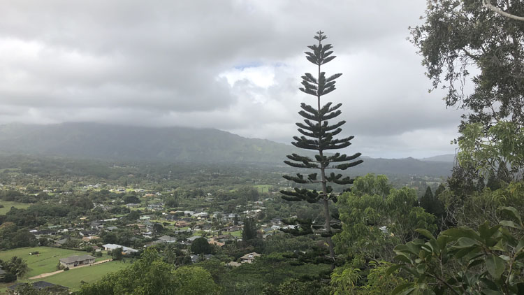 The vista from the Nounou Trail