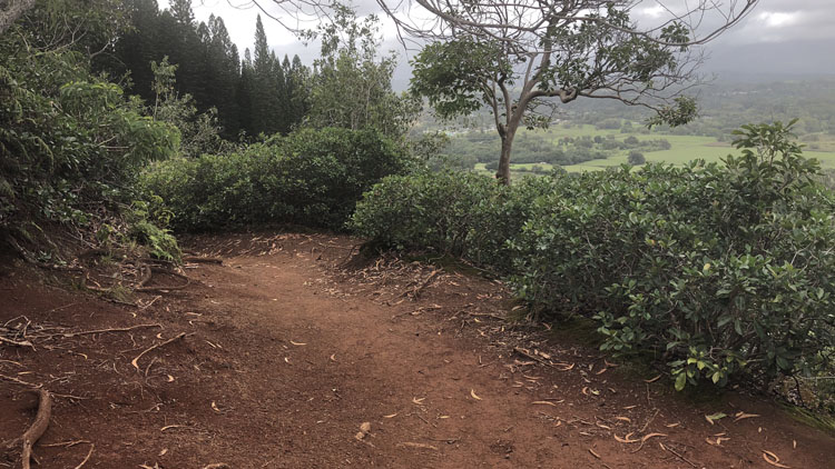The vista from the Nounou Trail