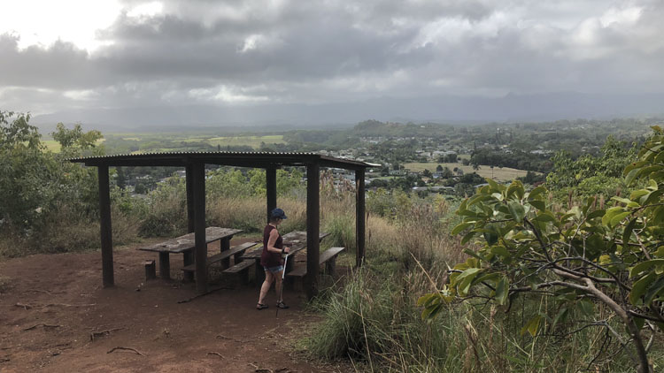 Sleeping Giant Trail picnic site