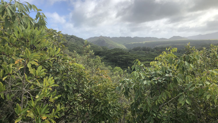 Sleeping Giant Trail vista