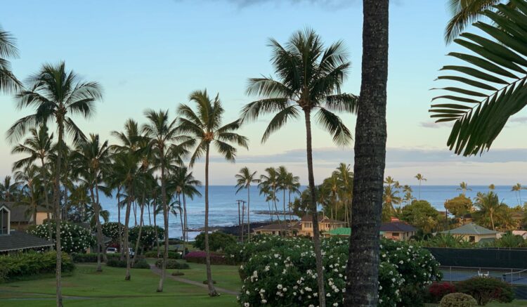 View of the ocean from Kahala 623
