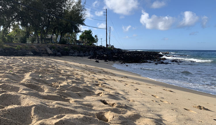 Image of the sand and beach at Brennekes Beach