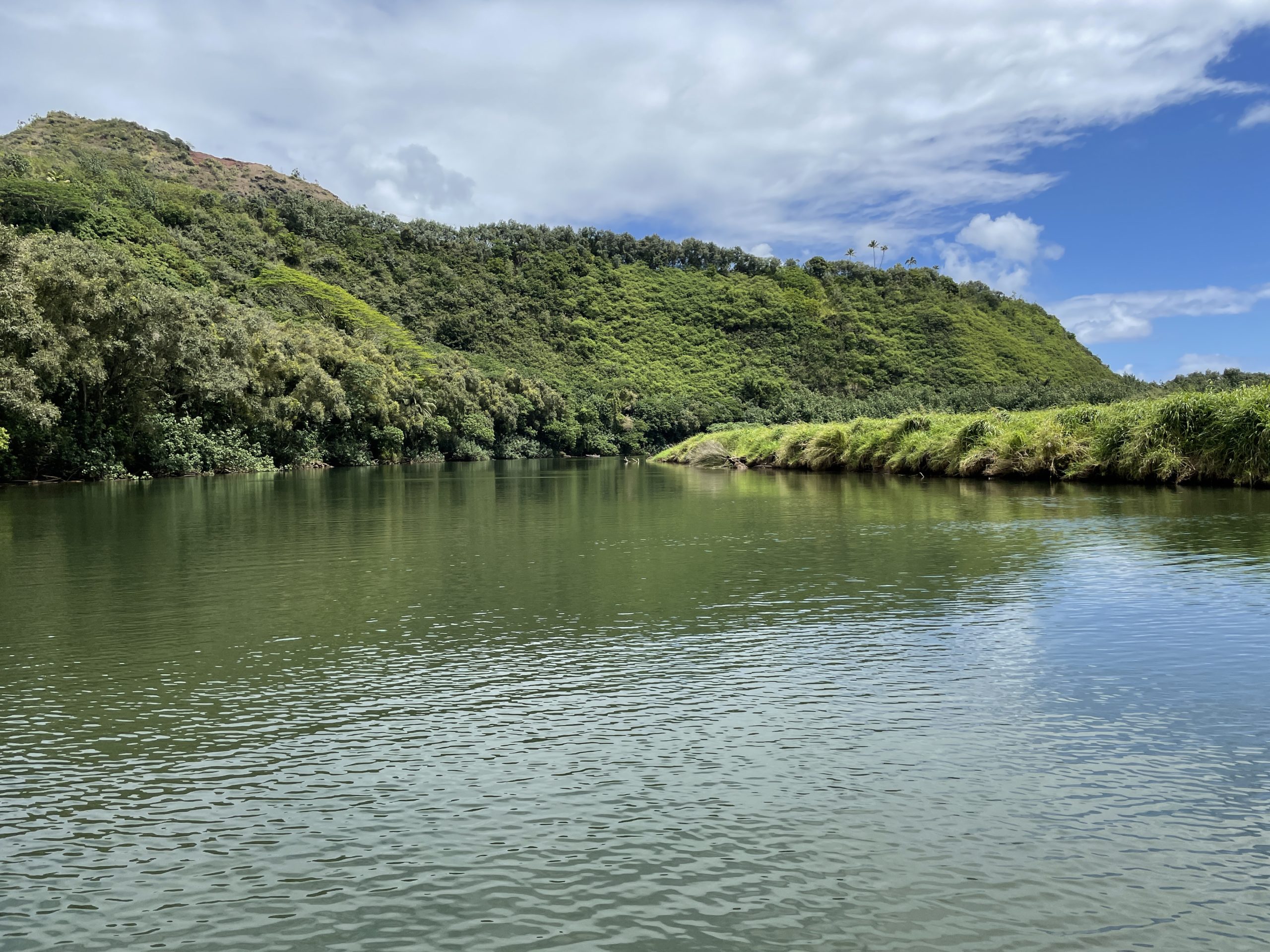 Paddle Boarding the Wailua River Travel Poipu