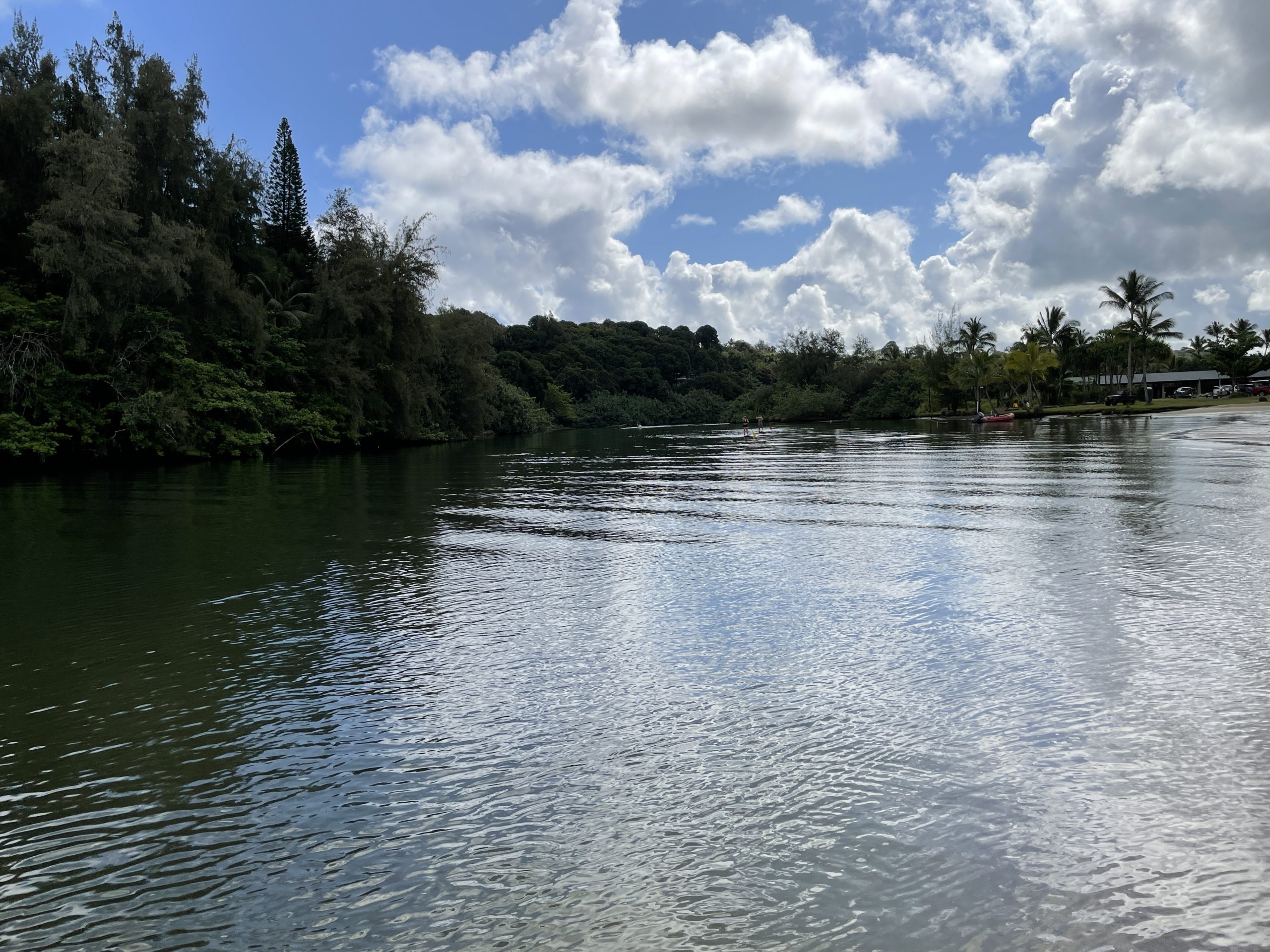 Paddle Boarding the Hanalei River Travel Poipu