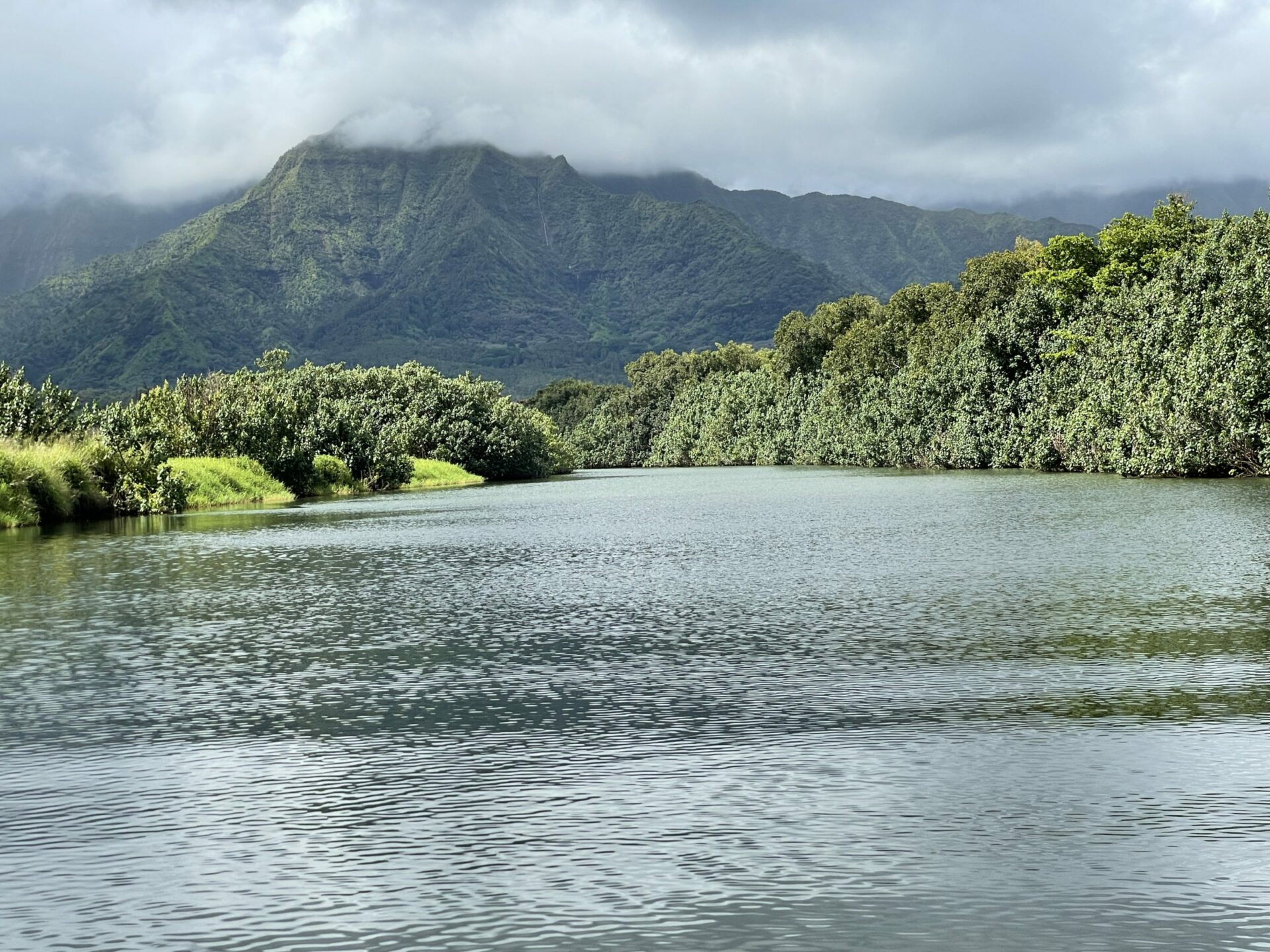 Paddle Boarding the Hanalei River Travel Poipu