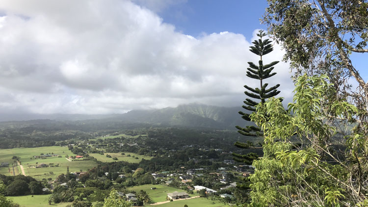 The vista from the Nounou Trail