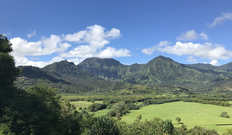 The overlook of the north shore of Kauai near Princeville