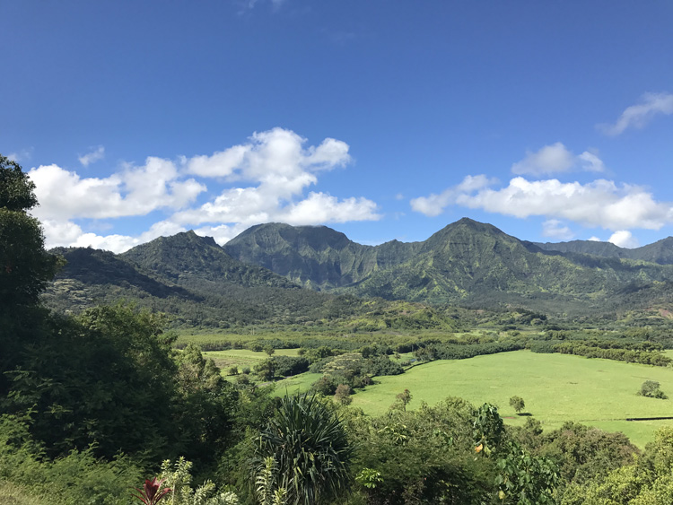 Do you know the way to Hanalei Travel Poipu