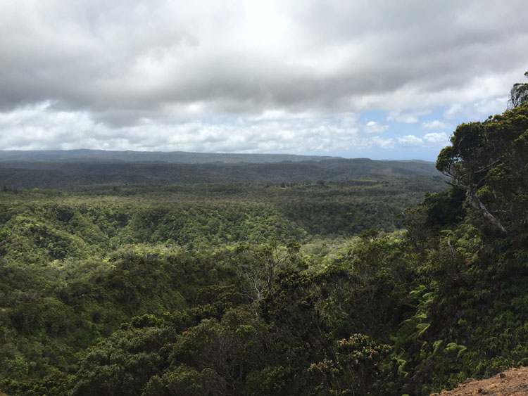 Waimea Canyon