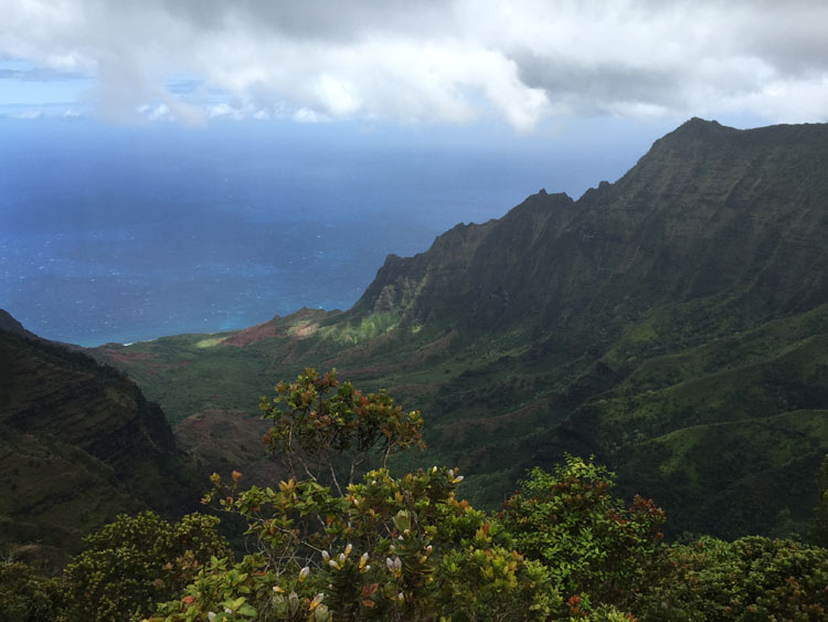 Koke'e State Park