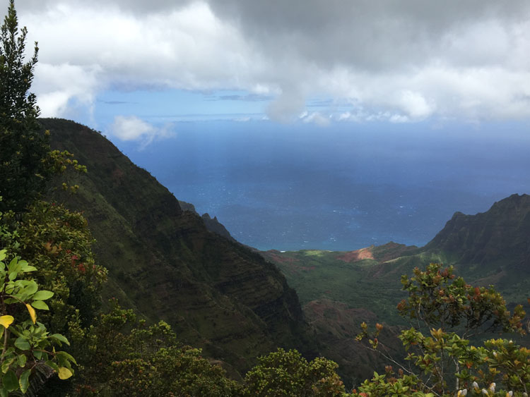 Koke'e State Park Napali Coast