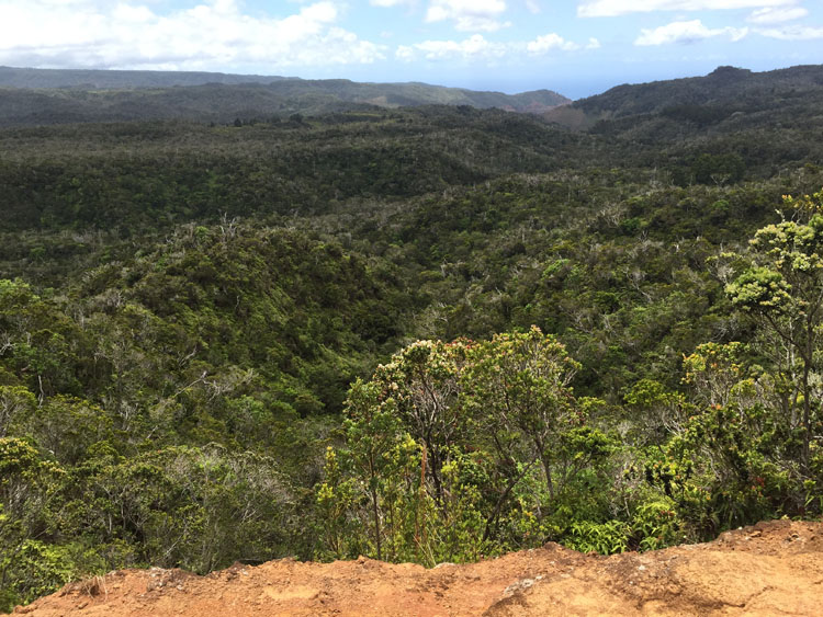 Waimea Canyon