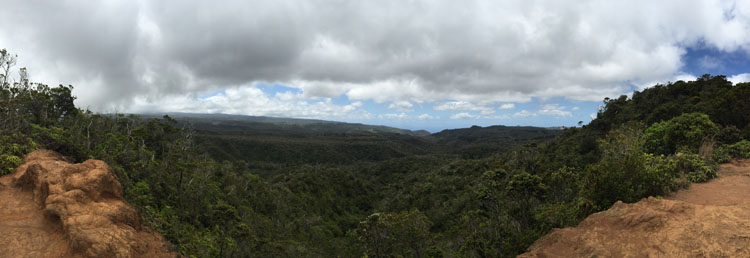 Koke'e State Park vista