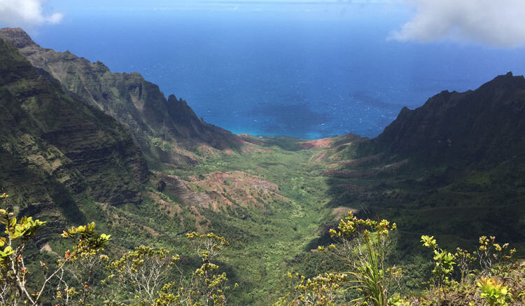 The Waimea Canyon