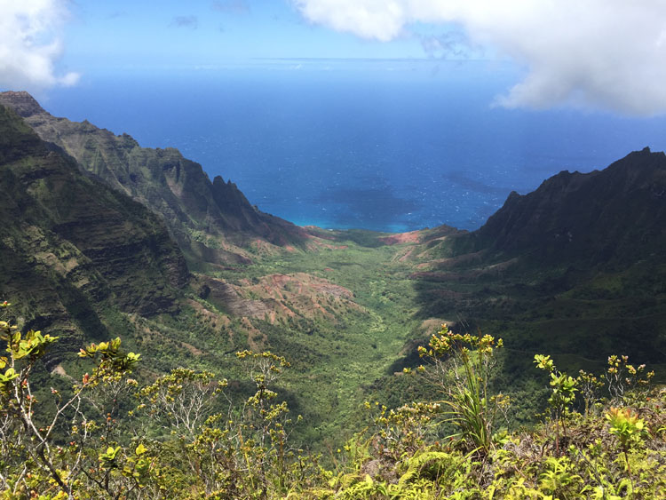 The Waimea Canyon