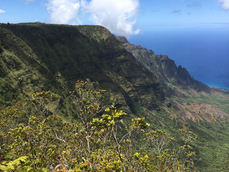 Koke'e State Park vista