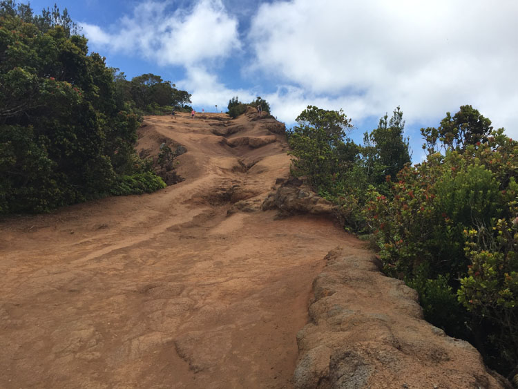 Koke'e State Park trail