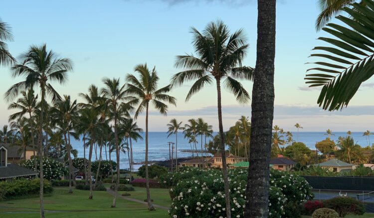 View of the ocean from Kahala 623