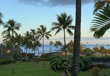 View of the ocean from Kahala 623