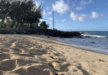 Image of the sand and beach at Brennekes Beach