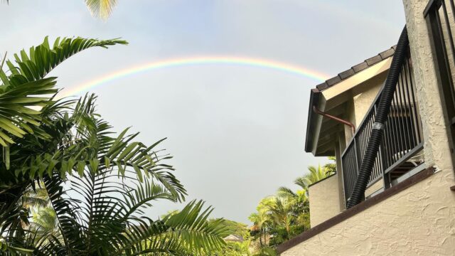 Even in the rain there is always a rainbow nearby.