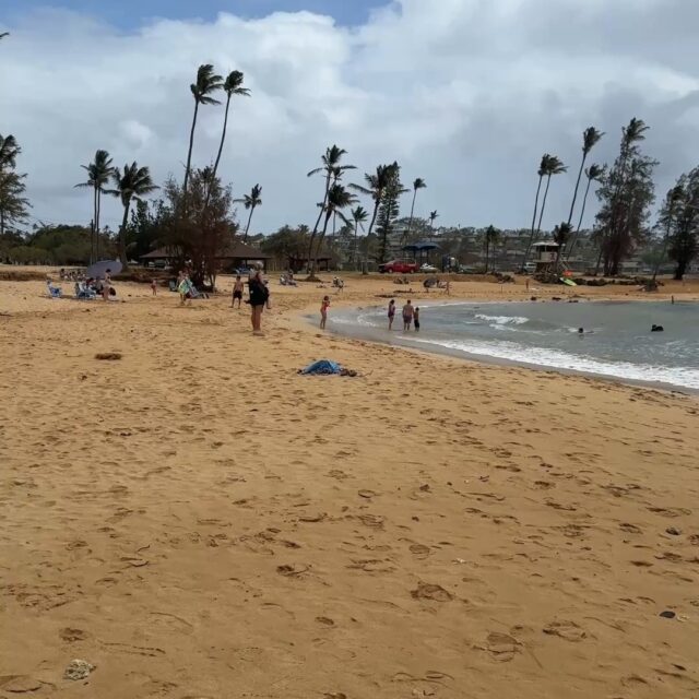 Poipu Beach Park is open! Lots of room on the beach right now - especially because it's been rainy. But the county folks have done great work getting the beach back and shape. Also - Brennecke's is open - the restaurant, deli and Puka Dog shop. Great time to come to Kauai - it's not crowded!